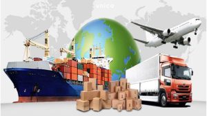 Khai báo hải quan trên phần mềm ECUS5